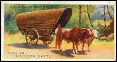 9 Ceylon Bullock Cart